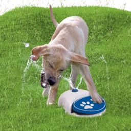 CoolPets Splash Water Fountain Vandsjov til Hunden
